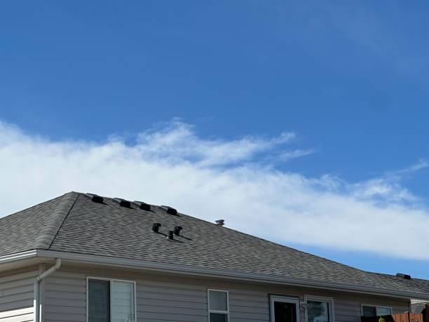 Best Chimney Flashing Repair  in Desert Edge, CA
