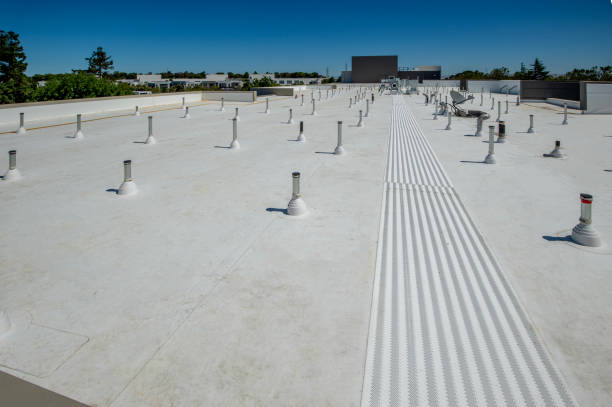 Best Roof Moss and Algae Removal  in Desert Edge, CA